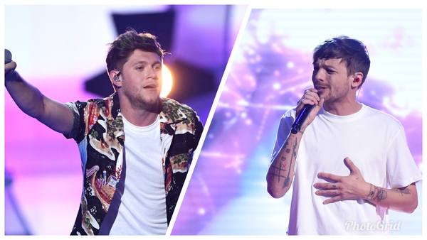 One Direction's Niall Horan and Louis Tomlinson had a playful fight on Twitter, much to the delight of their fans