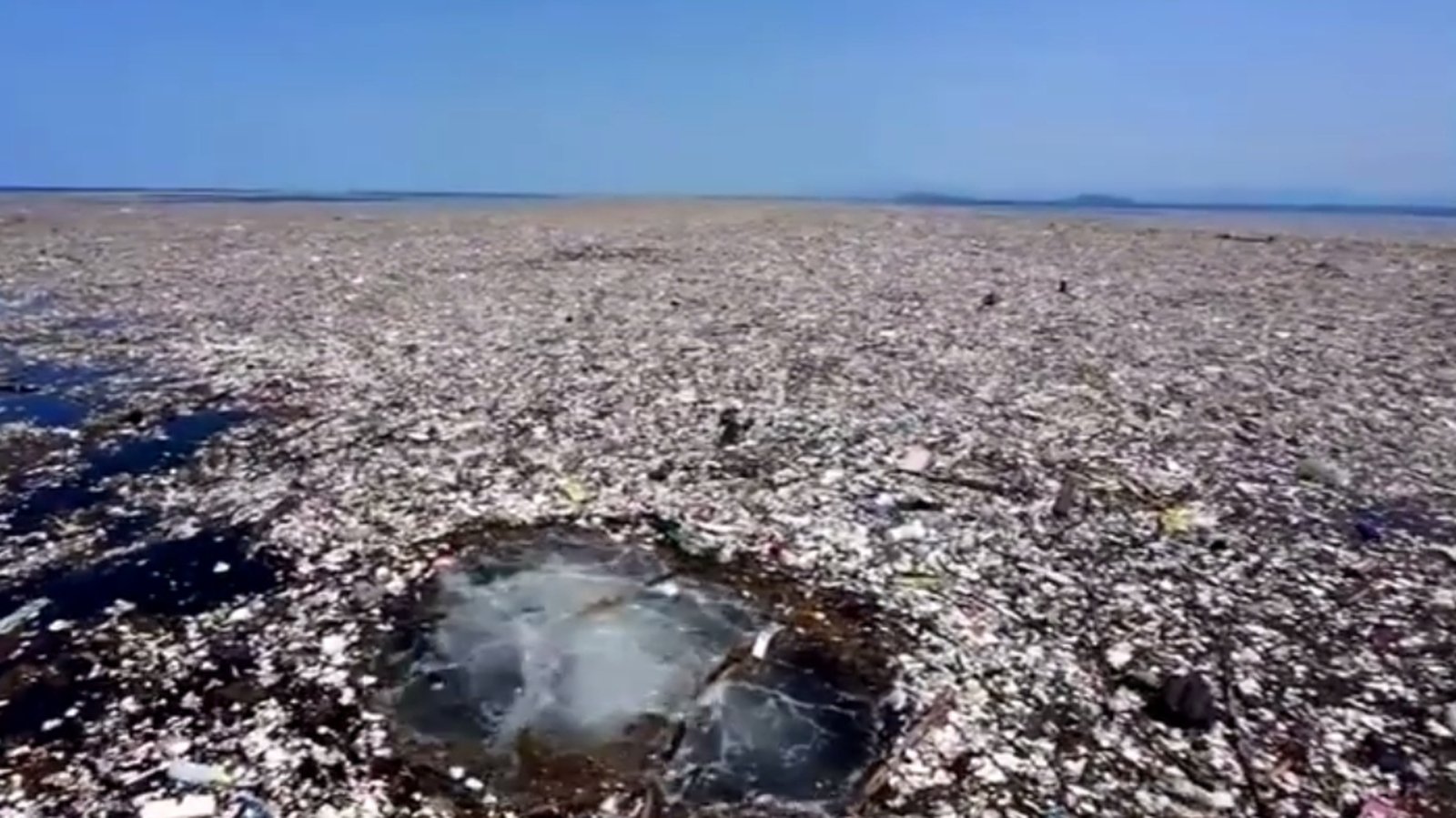 trash-ure-island-huge-rubbish-flotilla-found-in-sea