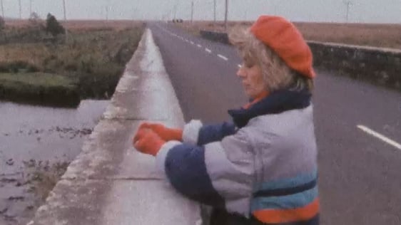 Musical Bridge Mayo (1987)
