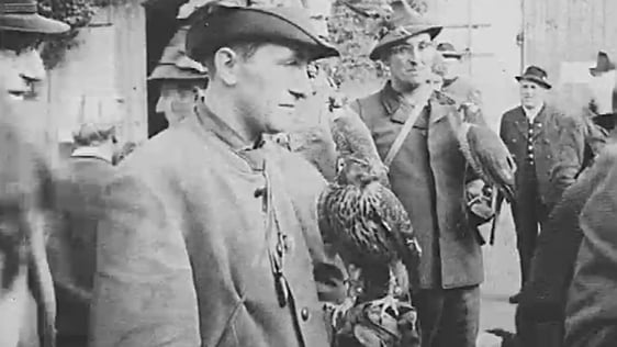 Falconry in 1962