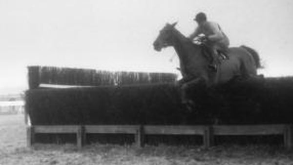 Arkle's 1964 Gold Cup triumph was one highlight of a sepia-tinted era in Irish sport