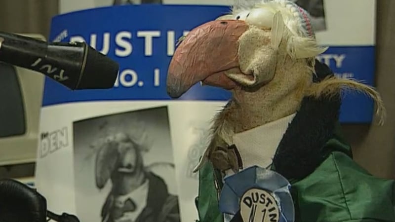 Dustin: The Poultry Party Candidate Election 2024