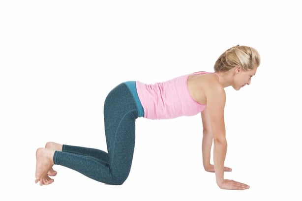 Establishing the plank yoga pose