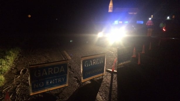 Four members of family killed in Co Wexford crash