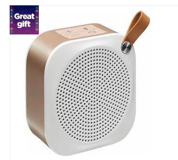 Portable Bluetooth Wireless Speaker