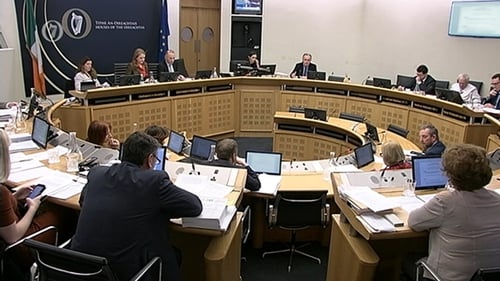 Members of the committee on the Eighth Amendment considered the Citizens' Assembly recommendations for three months
