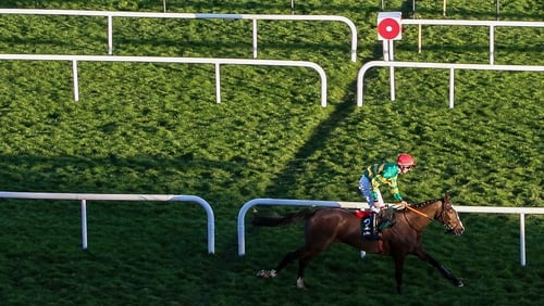 Anibale Fly goes in the Aintree Grand National