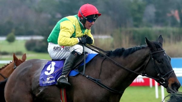 Sizing John could be sent over hurdles by Jessica Harrington