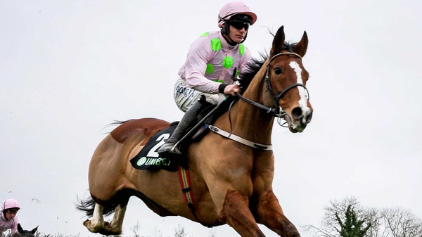Faugheen is now set to make the leap over fences