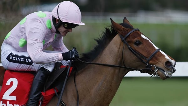Faugheen is one of five possible Willie Mullins runners