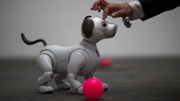 The Sony robotic mutt is yet to be given a release date