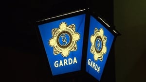 Woman, 20s, dies in dog attack in Co Limerick