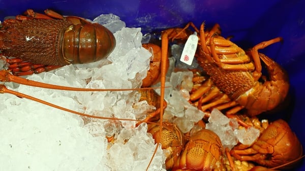 US lobster exports are included in the deal