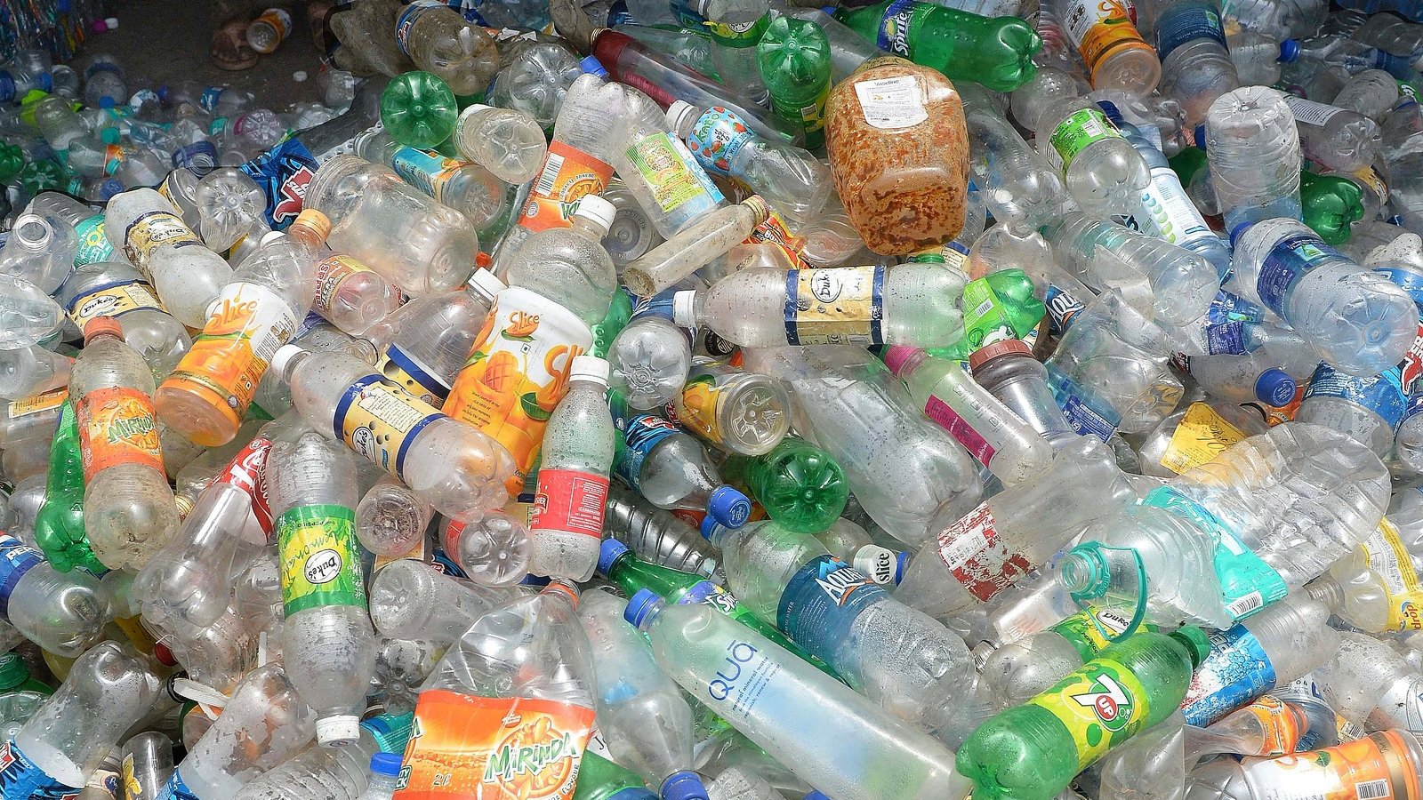 new-biodegradable-plastic-developed-by-scientists