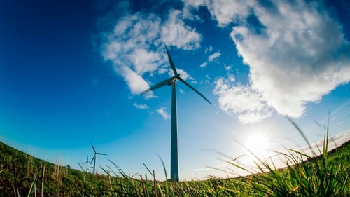 Almost 40% of the country's electricity needs were supplied by wind energy in 2019