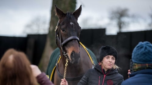 Sizing John had been on course for big races