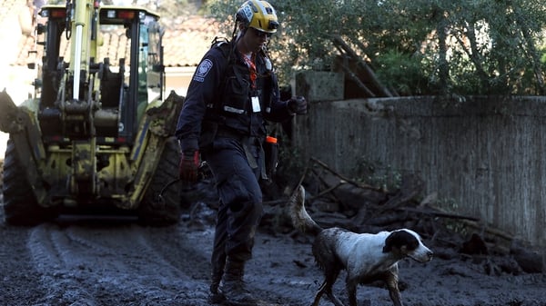 Rescue dogs form part of the search operations in Montecito