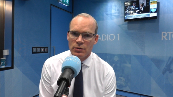 Simon Coveney said the State's number one priority must be to protect women in pregnancy