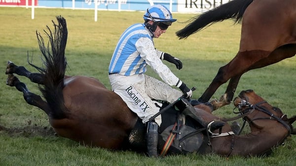 Paul Townend goes down with Killultagh Vic