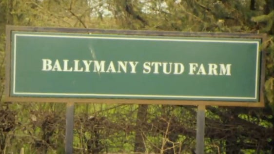 Ballymany Stud Farm