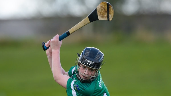 Niamh Mulcahy fired over nine points for Limerick