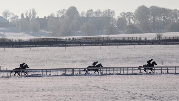 Both Clonmel and Dundalk meetings have fallen victim to the weather (file photo)