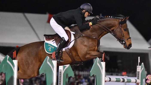 For the second year in succession, Limerick's Paul O'Shea and Skara Glen's Machu Picchu jumped double clear at the Wellington Nations Cup in Florida