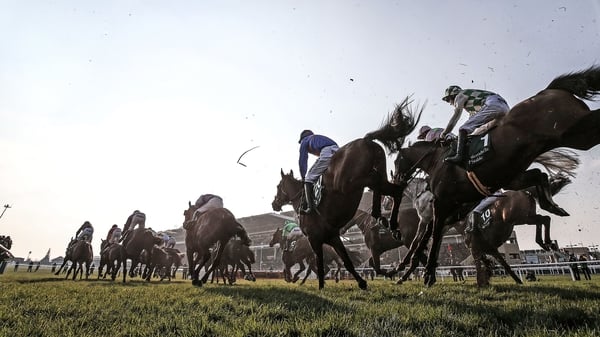The Cheltenham festival takes place this week.