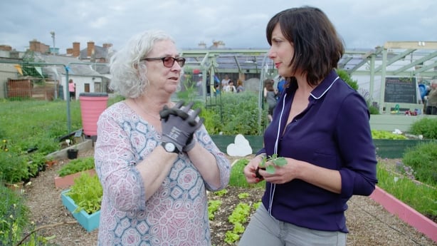 Karen-ODonohoe-chats-to-Maeve-Foreman-secretary-of-the-Mud-Island-Community-Garden