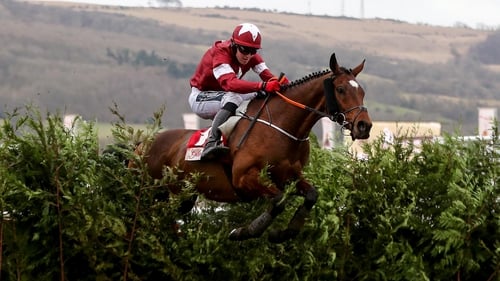 Tiger Roll will be aiming for back-to-back Grand National wins