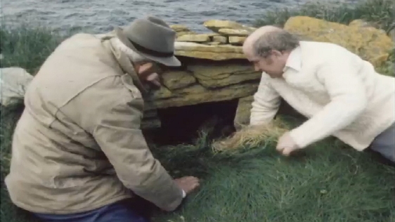 Patrick and Seamus Caulfield
