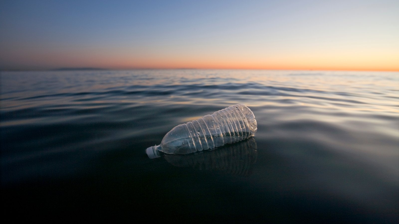 Plastic waste in Antarctica reveals scale of pollution