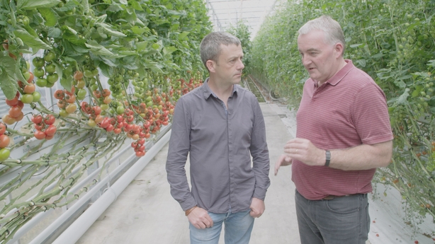 Presenter-Michael-Kelly-with-Tomato-Grower-David-Currid-at-Grantstown-Nurser