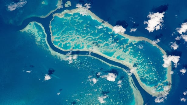 Ultra-fine biodegradable film may save Great Barrier Reef