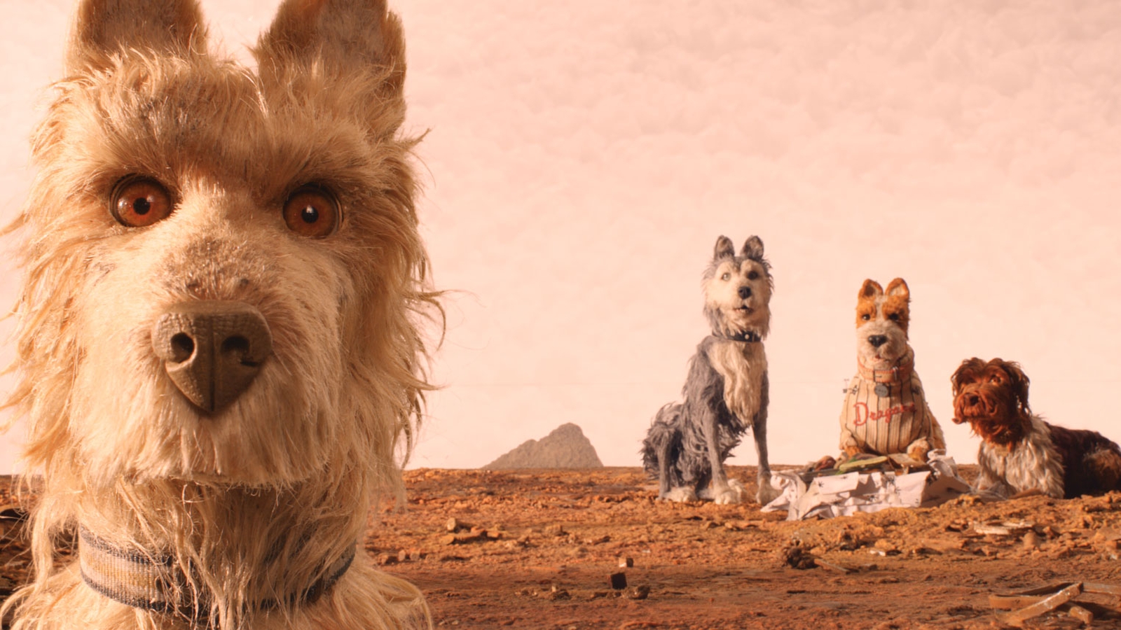 Isle of Dogs is a visual masterpiece with a heart movie review : Isle 