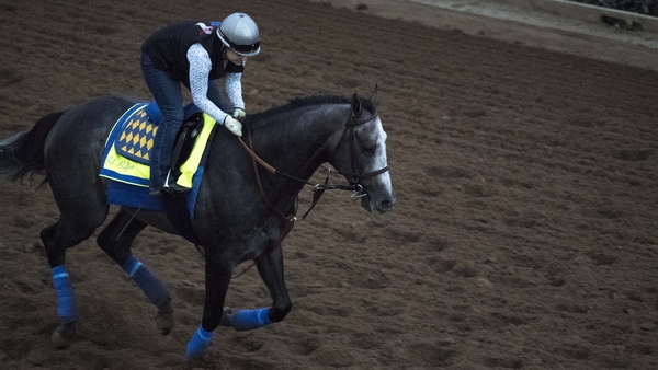 West Coast will go from stall nine in the Dubai World Cup