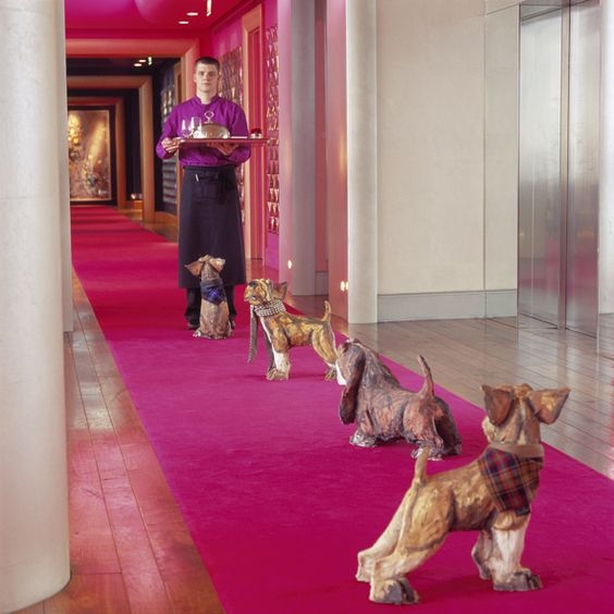 g hotel decor dogs