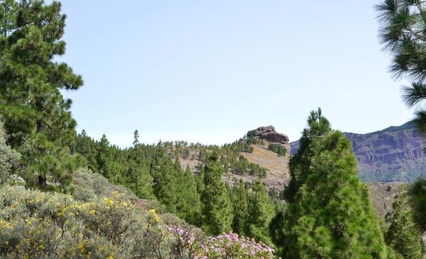 roque nublo peak view
