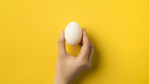 egg