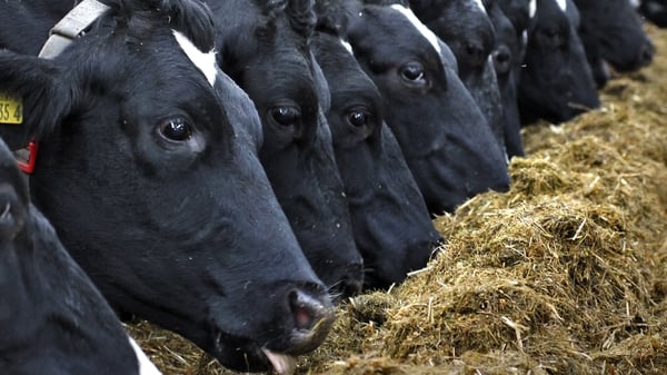 Terra Liquid Minerals provides an automated dosing system that adds minerals to cows' drinking water