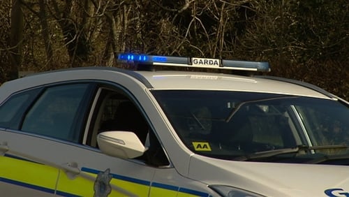 The Garda Inspectorate found the force has an insufficient understanding of the demand for its services