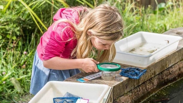pond dipping