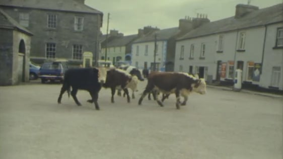 Clonbur, County Galway