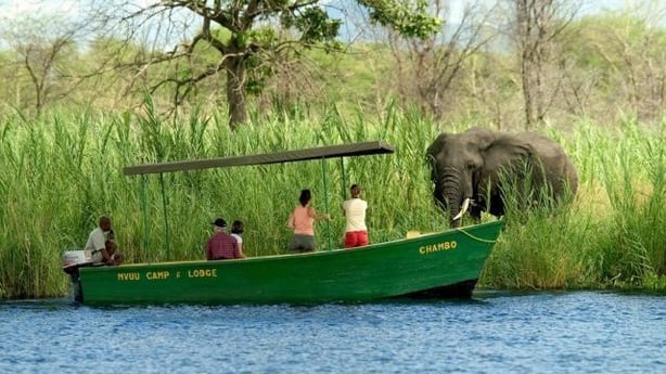 Boat safari at Liwonde National Park (Dana AllenPA)
