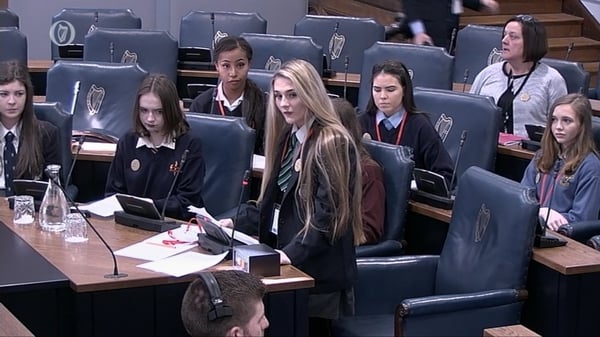 Students from across the country addressed the Seanad