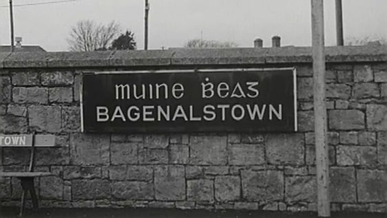 Bagenalstown Or Muine Bheag