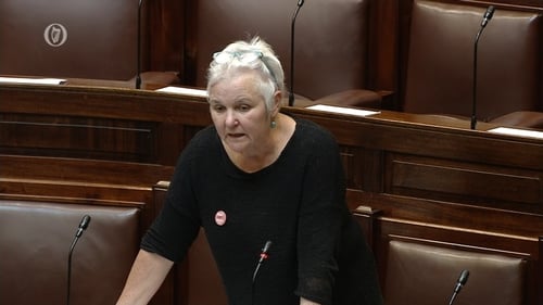 Bríd Smith said nothing the Government announces on climate can be taken serious (file image)