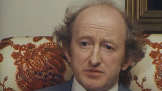 Michael D Higgins, Labour Party Chairman (1978)
