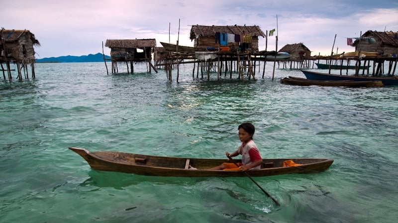 Extra-large spleens allow Indonesian tribe deep dive