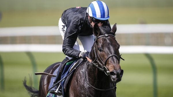Elarqam failed to spark into life at the Curragh